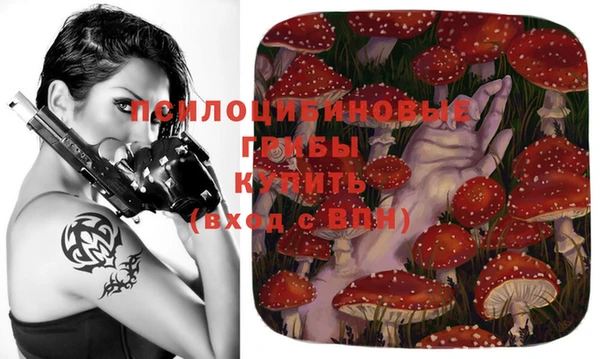хмурый Наволоки